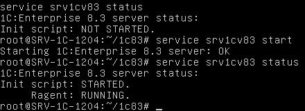 1cv83-ubuntu1204-instal-001.jpg