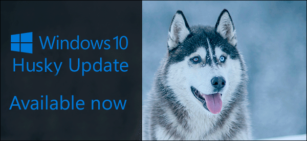windows-10-updates-after-dogs-001.png