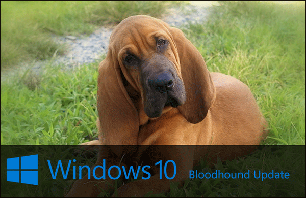windows-10-updates-after-dogs-003.png