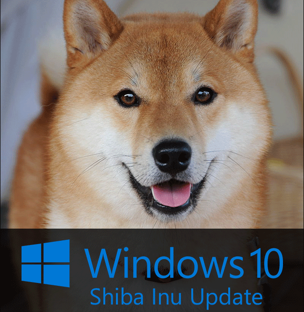 windows-10-updates-after-dogs-006.png