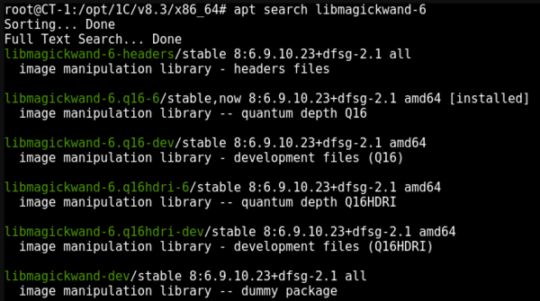 1cv83-web-access-linux-006.png