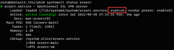 OpenConnect-VPN-Debian-Ubuntu-002.png