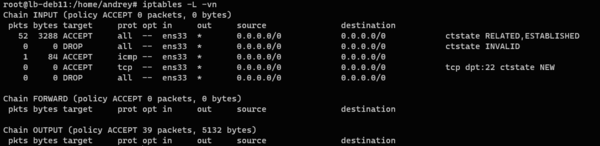 install-debian-11-minimal-server-040.png