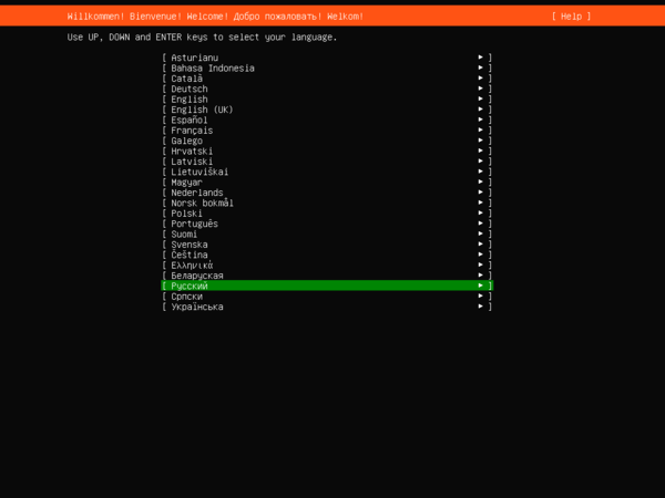install-ubuntu-2204-lts-server-001.png