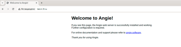 Angie-PHP-MySQL-HTTP3-001.png