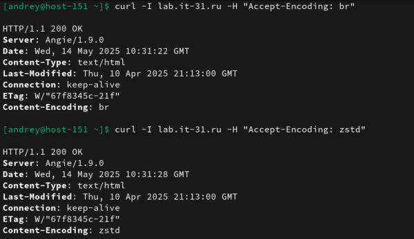 Angie-PHP-MySQL-HTTP3-002.png