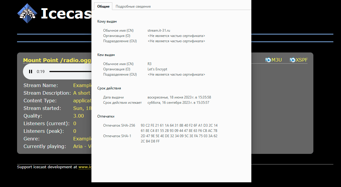 https://interface31.ru/tech_it/images/Icecast2-Ices-LetsEncrypt-online-stream-005.png