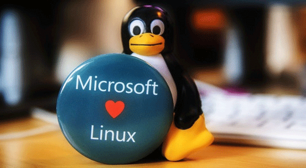 Microsoft-Linux-004.png