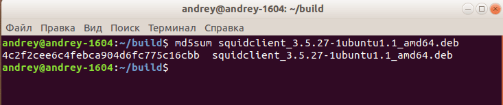 https://interface31.ru/tech_it/images/Squid-build-Debian-Ubuntu-005-1.png