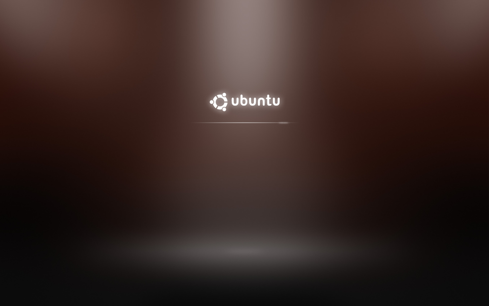 https://interface31.ru/tech_it/images/Ubuntu-9.04-2009-11-28-15-55-00.png