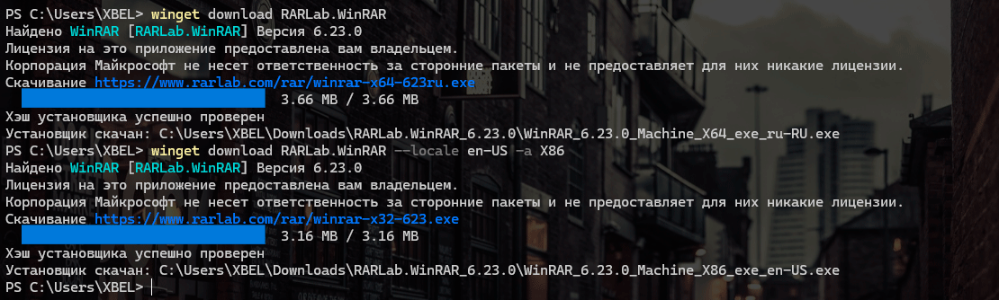 https://interface31.ru/tech_it/images/WinGet-Windows-Package-Manager-009.png