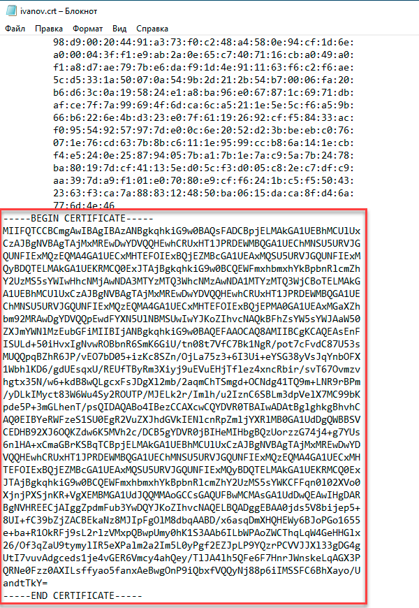 https://interface31.ru/tech_it/images/embedding-certificates-in-ovpn-001.png