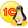 fixing-1c-client-startup-errors-linux-000.png