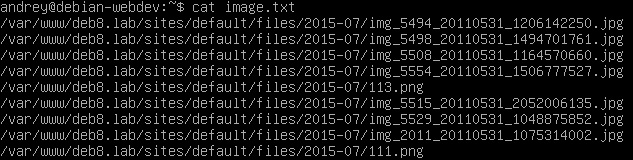 https://interface31.ru/tech_it/images/linux-filesystem-2-011.jpg