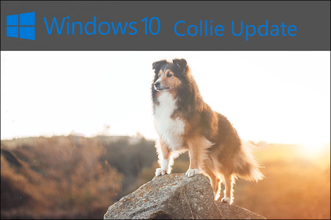 https://interface31.ru/tech_it/images/windows-10-updates-after-dogs-002.png