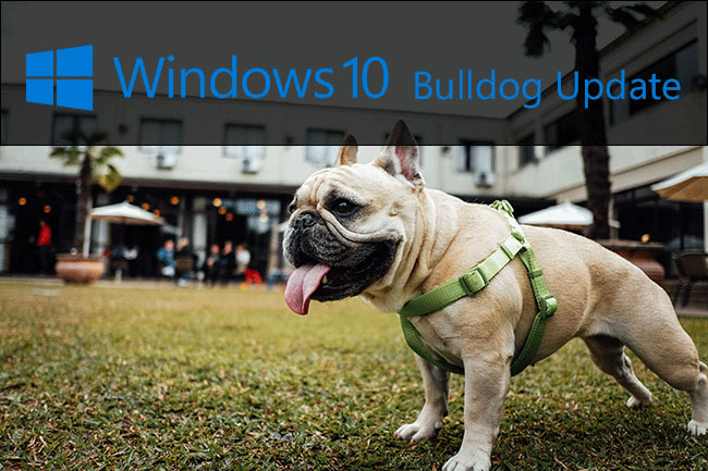 https://interface31.ru/tech_it/images/windows-10-updates-after-dogs-004.png