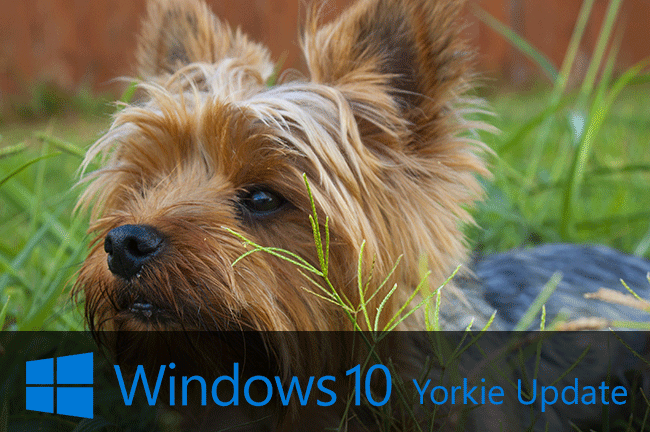 https://interface31.ru/tech_it/images/windows-10-updates-after-dogs-005.png