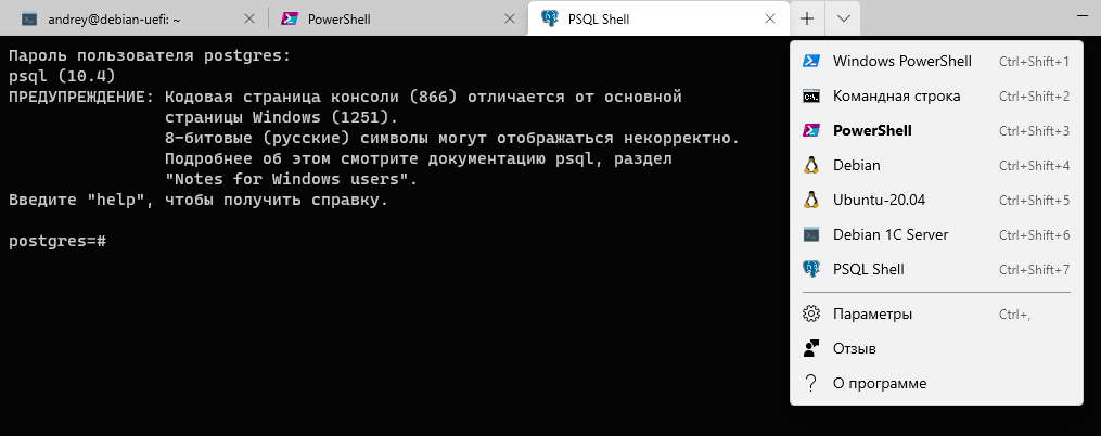 https://interface31.ru/tech_it/images/windows-terminal-010.png