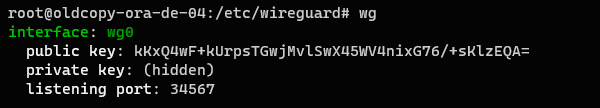 wireguard-vpn-internet-access-001.png