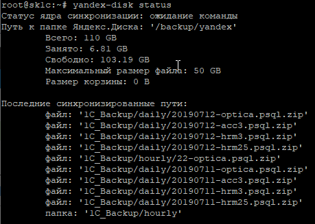 https://interface31.ru/tech_it/images/yandex-disk-debian-002.png